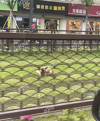 һֻ���ſ��������ſڵ��й�糵����ϣ��е���⡭