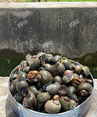 ������ôһ����ĸ����� ��һ�ѻ�ȫ��������