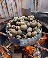 ������ôһ����ĸ����� ��һ�ѻ�ȫ��������