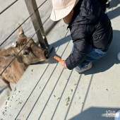 ����������ɳι����