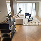 �޵׶�װ�ޣ�50w���