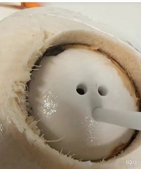 ����Ҭ��ˮ�ܾ�����ˮ���������ˣ�