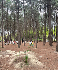 ȥ���½���������ʤ�أ�С���������Ŀ�ķǳ��� ���Ҷ��Ƚ���ӱ