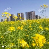 �Ͳ˻�����ؽ�