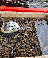 �����˳���ӵļ����ˣ�Сʱ�򿪸��� �ӵ����� �����ĺܣ�