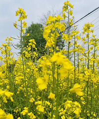 10����ǰ ���³����������﹡ͷ��ˣ ���������ͷ��