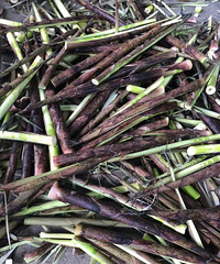 ����ȥ�ٰ����������˲�ժ�ͺ�� ����˵�������Ĳ�����