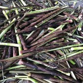 ��ɽ��������