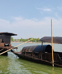 �������Ϻ� �˽������ʷ������˳��ȥ�Ϻ���������ݲι�һ��