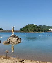 ¹Ů���ĺ�ˮ�峺ε�������Ӻ����ڿ��� ����ƽ����������