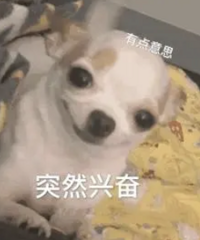 [С������]����30������������϶���������ʻ ��