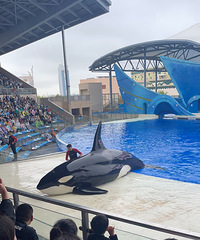 �Ŷ�����ʮ���� ����2���� ��ط��Ҳ����ˢ��