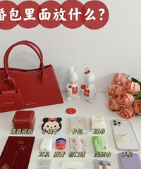 ��鵱��������װʲô������һƪ�͹���