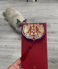 С���û���ѡ�������ʽ ���Ǹ���ʽ�� ��ϲ�����ַ��