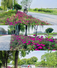 �����������̵������¿ռ䡢�߲ʻ�������ʯ����...