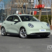 ŷ����è�������ô��