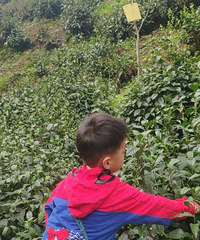 ������ȥ��������ɲ衢���裡��ϧ���ڶ��ǻ�е����...