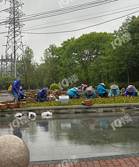 �������̵��Ի��кܶ๫��ү�����ڻ�̳���ֻ� �����е�����ġ�