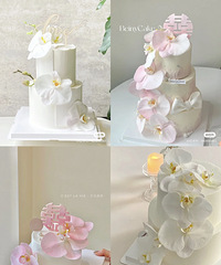 24��鵰�� �°��궩����Ľ��� ���ղ�