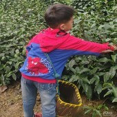 ����ȥ��������ɲ�