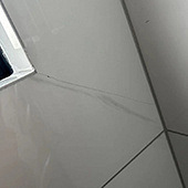 ��ש����Ƶ����