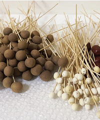 ��������ǳ�������ġ��������ӡ�����