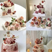 24��鵰�����