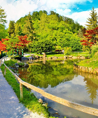 ������ѧ�ʹ��ζ��û𰡣������ް��϶���֯ȥ��ʲô�ط���