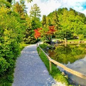 ������ѧ�ʹ��ζ��û�