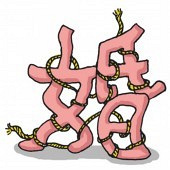 ��Ϊ���Ÿ��Ϲ�������