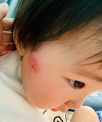 Ƥ�������Ա��� ����һҧ ������ һ����ŧ�� ���զ��