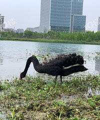 �����԰��������� �ǳ�����