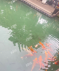 ��������һ�����������˵�5�� ��һ����ô����