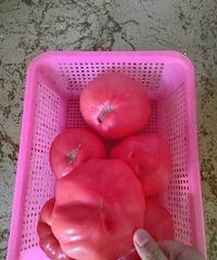 ������͸��ʵ���ڻ���ͻ���ˣ���һ��û��Լ ֻ�ܻش��ˣ�