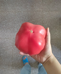 ������͸��ʵ���ڻ���ͻ���ˣ���һ��û��Լ ֻ�ܻش��ˣ�