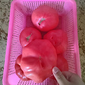 ��һû��Լ����