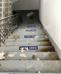 ��һ���μ�������˶������ºӵ���ͣ�������������������...