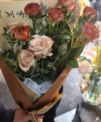 ���ף�Խ�㼯�л���Delight���ʻ���������