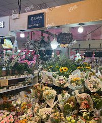 ���ף�Խ�㼯�л���Delight���ʻ���������