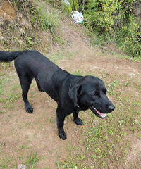 С�ڹ��ѱ��ˣ���������������ĸ��� �������˼�������...