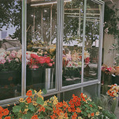 ��ȡ520�յ���