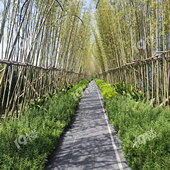 ��֮��ʵ��ͼ