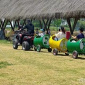 ���޺�¶ӪҰ�ͺ�ȥ��