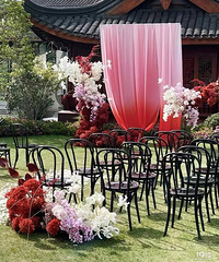 �����ƺ����ܳ�Ƭ ��������ñȽ���