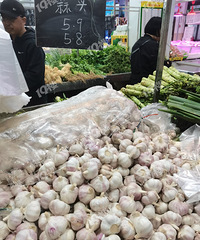 ������������⡱����س����� �˼�̫�� �����Ӳ����డ