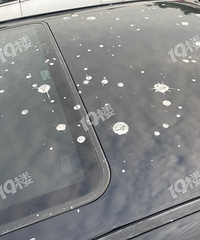 ��ô����ôȱ�µ��ˣ�¥���ھ�������˦ ���ҳ������������