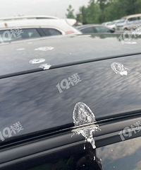 ��ô����ôȱ�µ��ˣ�¥���ھ�������˦ ���ҳ������������