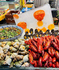 ϲ�������� �����������ã��������ɳԻر�