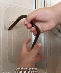 үү���˻�������׼�����г���˿ û�뵽���Ӱѻ�����Ĳ����ֺ�