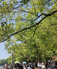 ���ڵĺ���������ͷ����Ķ� վ���˶��� ���������...